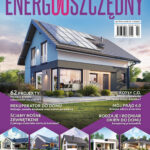 DOBRY DOM Technologie i Materiały nr 2(28)2024 (PDF)