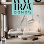 WNĘTRZA DOMÓW nr 2(39)2025 (PDF)