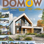 PROJEKTY DOMÓW nr 1(49)2025 (PDF)